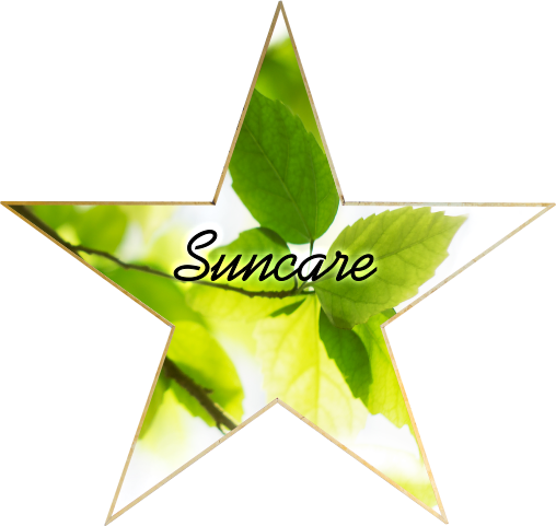 star13